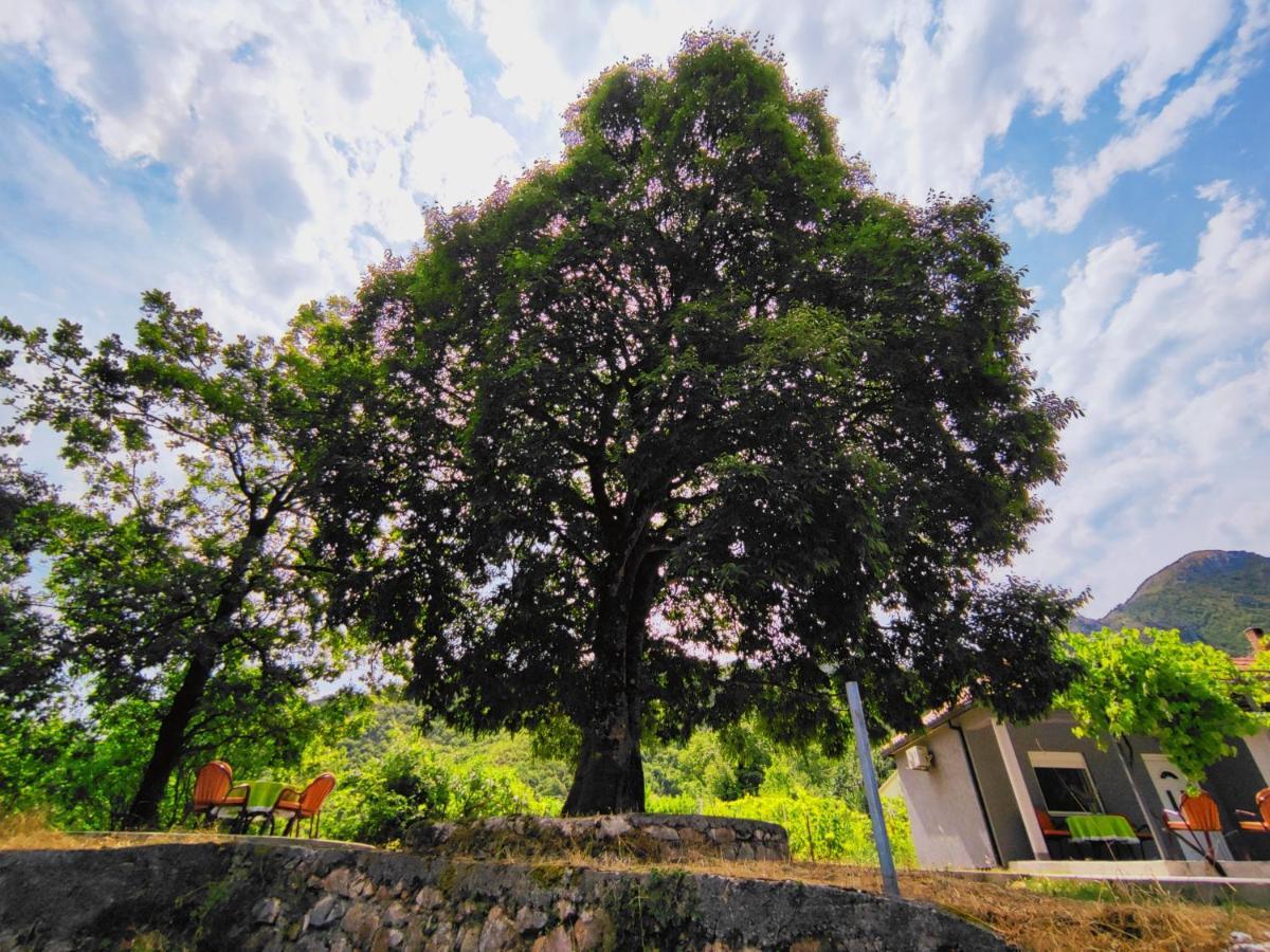 Celtis Shade House Villa Virpazar Dış mekan fotoğraf