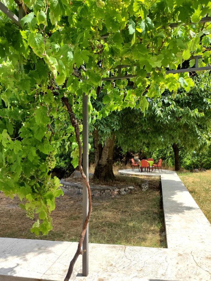 Celtis Shade House Villa Virpazar Dış mekan fotoğraf